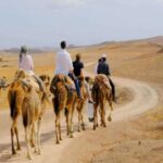 Agafay-desert-camel-ride-2-560x300